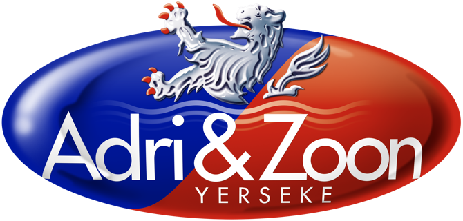 Adri & Zn